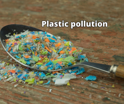 SA reaffirms support for global treaty to tackle plastic pollution