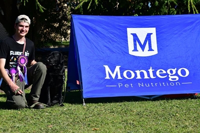 Tails wag and spirits soar at Garden Route Rally Obedience Competition