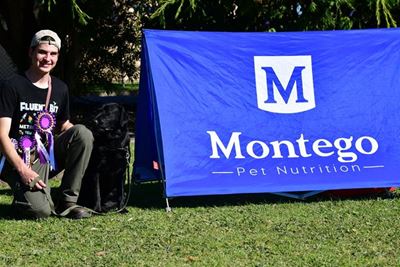 Tails wag and spirits soar at Garden Route Rally Obedience Competition