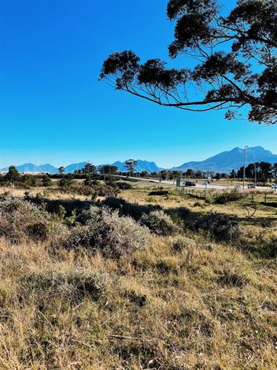 Destiny Africa land to be sold on tender