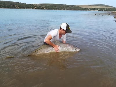 Meer lof vir reus se vrylating as groot vangs