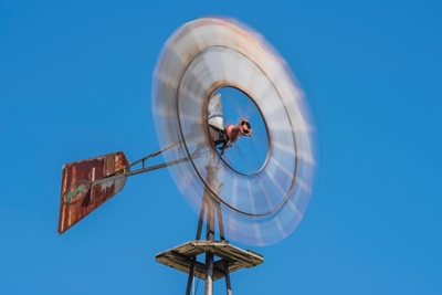 Skadelike wind ruk dakplate op