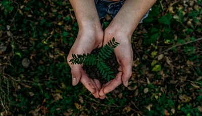 Environmental management plan published for adoption
