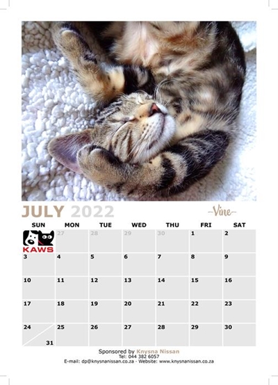 2022 Calendar for a great Kaws