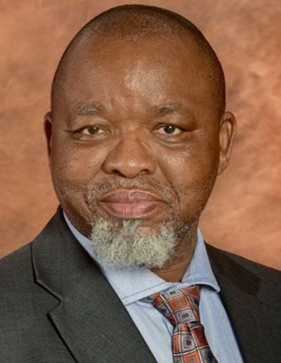Mantashe encouraged by data acquired at Luiperd oil, gas drilling campaign