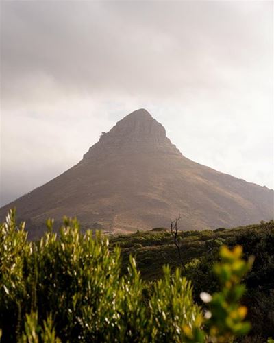 61-year-old hiker airlifted from Lion’s Head after medical emergency