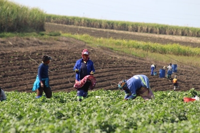 National minimum wage increases next month