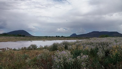High hopes for Nqweba dam level