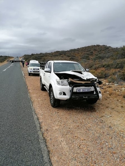 Bakkie tref koedoe