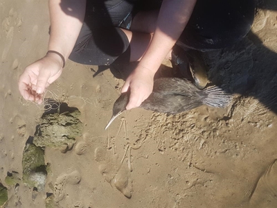 Reeling in the rubbish