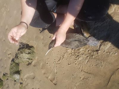 Reeling in the rubbish