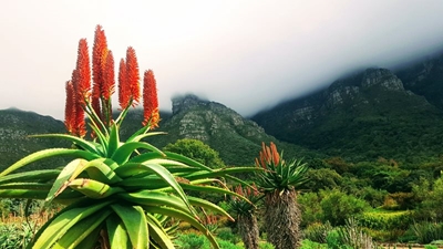 Things to do in the Gem of the Karoo