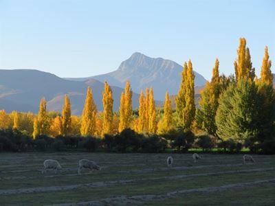 Spectacular autumn for Nieu-Bethesda