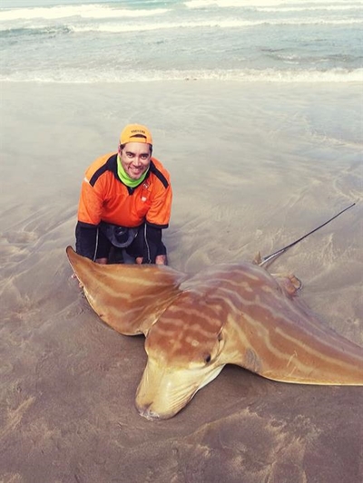 Groot vis uit Boggomsbaai se waters