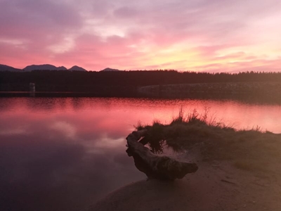 Update: Garden Route Dam level