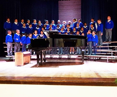 Stem vir die Panorama-nagtegaaltjies