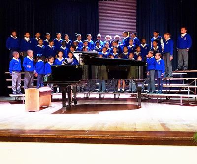 Stem vir die Panorama-nagtegaaltjies