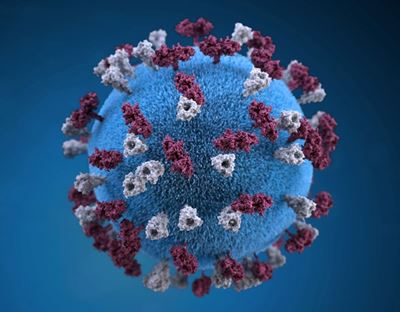 Measles outbreak: Cases on the rise in Limpopo