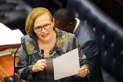 Zille: Malema and Mandela should be reported for apartheid, colonialism comments