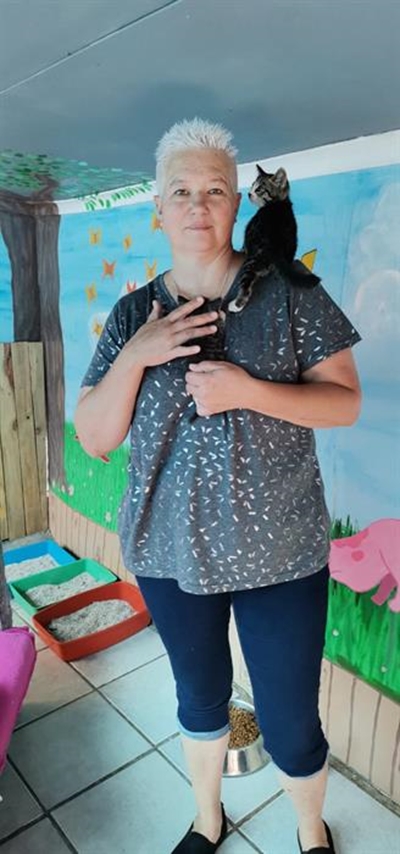 Insameling vir die Cat Hotel
