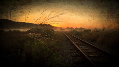 Local photographers explore