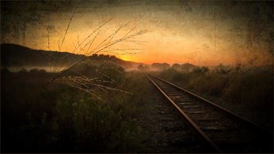 Local photographers explore