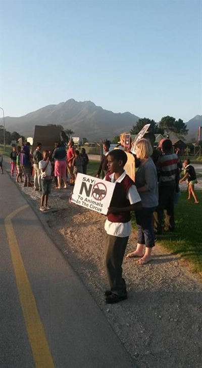 Anti-circus activists say no to McLaren