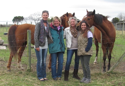 Aunt's share donated to horses