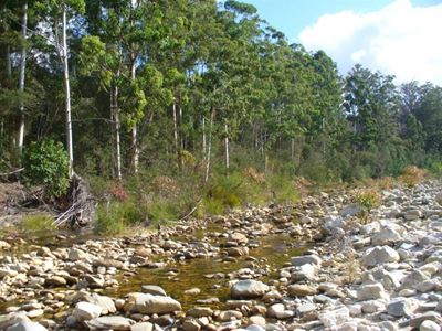 Update: Plett water supply under threat