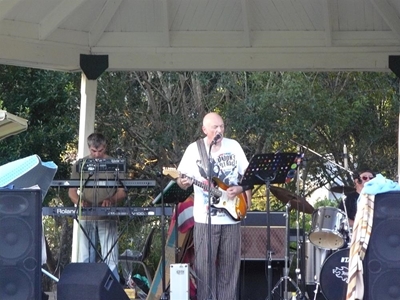 Great vibe at picnic concert