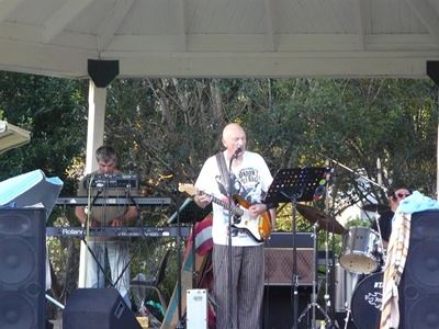 Great vibe at picnic concert
