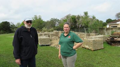 20 000 bricks for Botanical Garden
