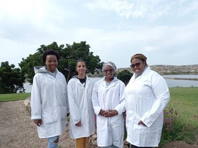 Drinking water quality testing explained thoroughly
