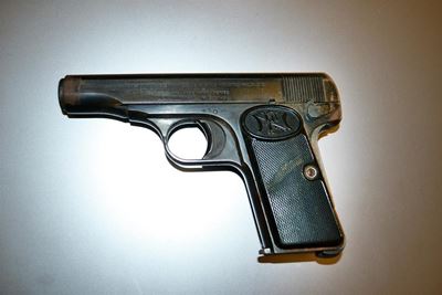 Firearm Control Amendment Bill held back