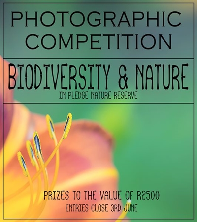 Celebrate biodiversity locally