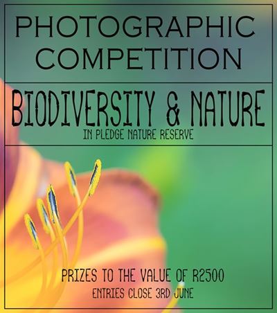 Celebrate biodiversity locally