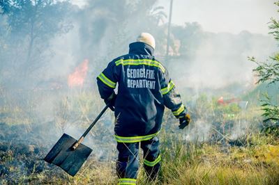 Update: Wildfire at Rondevlei