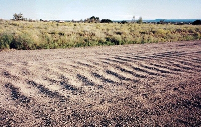 In lighter vein: Bad advice to young drivers