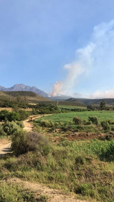 Wildfire on Kammanassie Mountains 