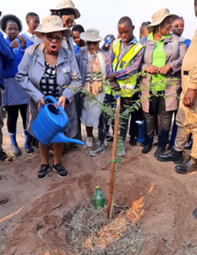 Empowering communities to be owners and managers of forestry resources