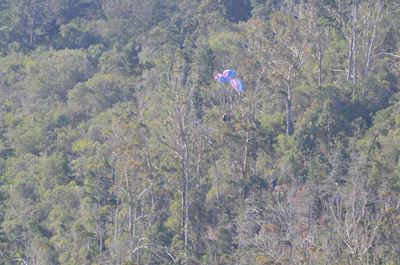 Nordic paraglider stuck on Cloud 9
