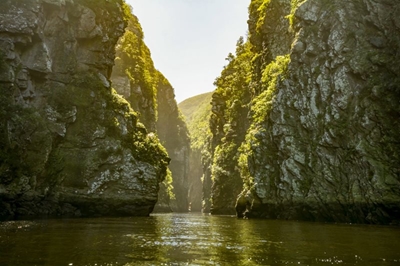 Top 5 Things to do in Tsitsikamma National Park
