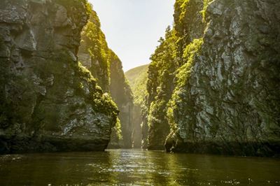 Top 5 Things to do in Tsitsikamma National Park