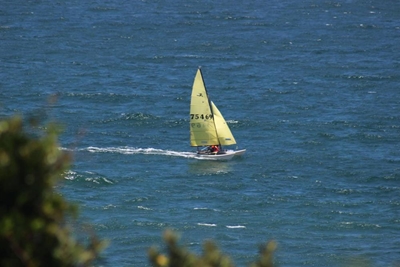 Locals dominate Hobie 16 nationals in Plett