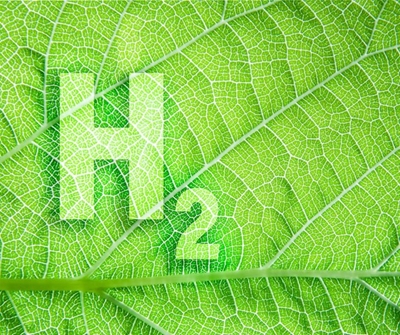 SA, Germany sign declaration of intent for Green Hydrogen 