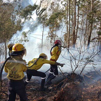 Wildfire update: Riethuiskraal, Still Bay