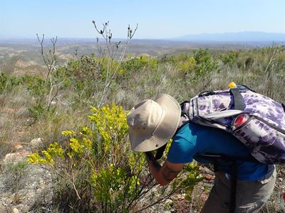 Take up the challenge