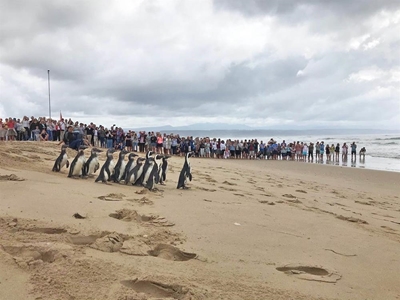 Happy feet forward