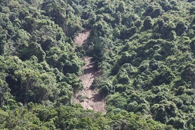 Collapse of natural infrastructure proves costly in Kaaimans