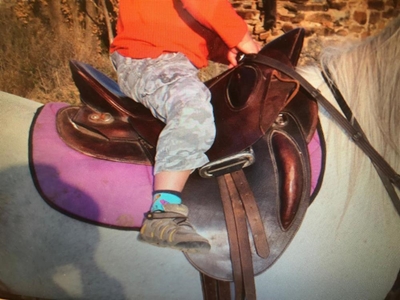 SAPS seek assistance after saddles go missing